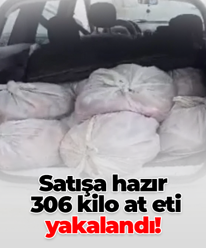 Satışa hazır  306 kilo at eti yakalandı!