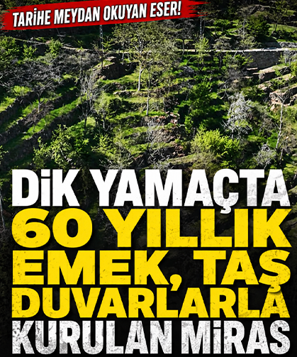 Dik yamaçta 60 yıllık emek, taş duvarlarla kurulan miras