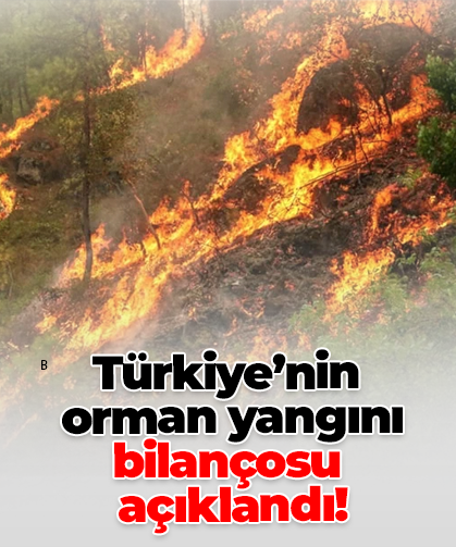 Türkiye’nin  orman yangını  bilançosu  açıklandı!