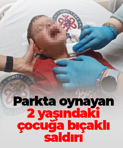 Parkta oynayan  2 yaşındaki çocuğa bıçaklı saldırı