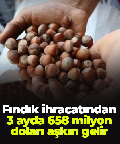 Fındık ihracatından 3 ayda 658 milyon doları aşkın gelir