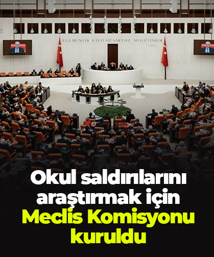 Okul saldırılarını araştırmak için Meclis Komisyonu kuruldu