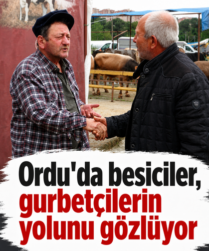 Ordu'da besiciler, gurbetçilerin yolunu gözlüyor