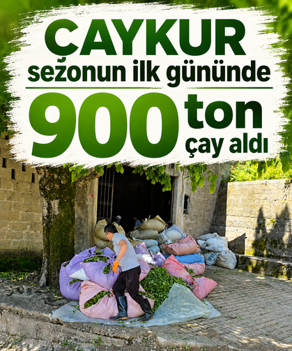 ÇAYKUR sezonun ilk gününde 900 ton çay aldı