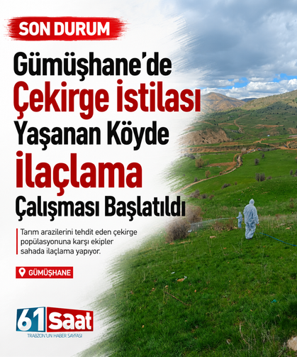 Gümüşhane’de çekirge istilasına uğrayan köyde ilaçlama çalışması başlatıldı