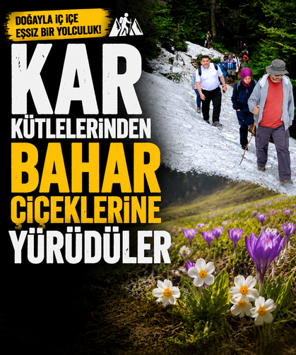 Kar kütlelerinden bahar çiçeklerine yürüdüler