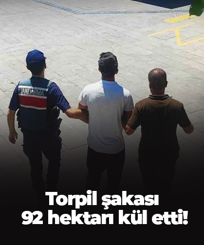 Torpil şakası  92 hektarı kül etti!