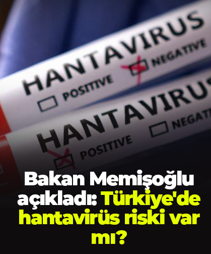 Bakan Memişoğlu açıkladı: Türkiye'de hantavirüs riski var mı?