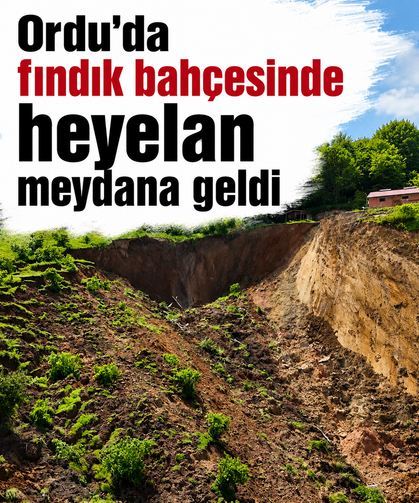 Ordu'da fındık bahçesinde heyelan meydana geldi