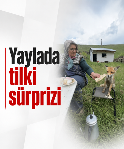 Yaylada Sedriye ninenin sofrasına oturan tilki ekmeği yemedi