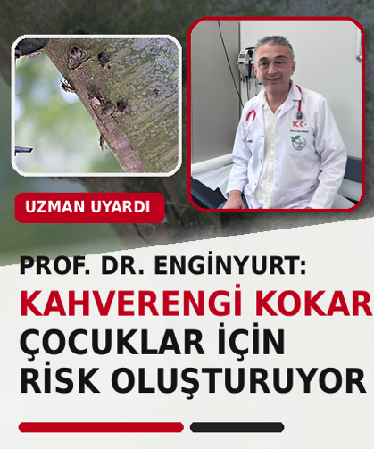 Prof. Dr. Enginyurt: Kahverengi kokarca, çocuklar için risk oluşturuyor