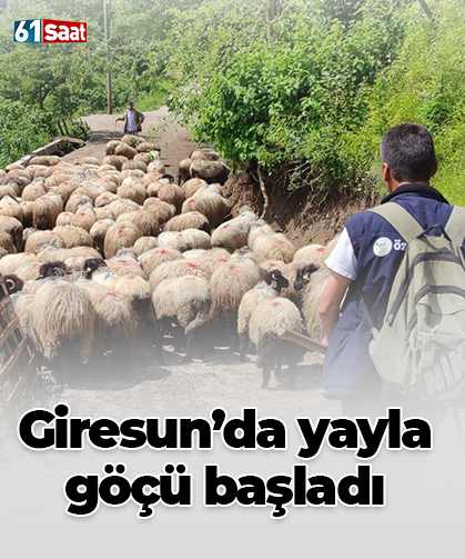 Giresun’da yayla göçü başladı