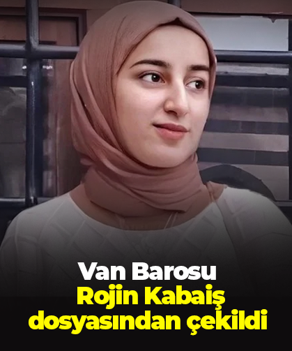 Van Barosu, Rojin Kabaiş dosyasından çekildi