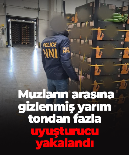 Muzların arasına gizlenmiş yarım tondan fazla uyuşturucu  yakalandı