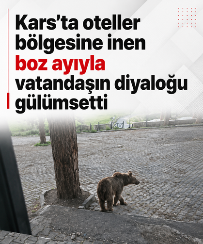 Kars’ta oteller bölgesine inen boz ayıyla vatandaşın diyaloğu gülümsetti