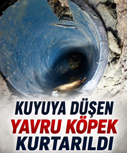Kuyuya düşen yavru köpek kurtarıldı