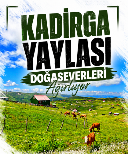Kadırga Yaylası doğaseverleri ağırlıyor
