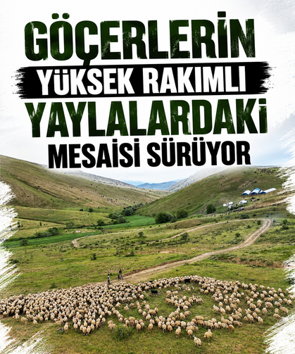 Göçerlerin yüksek rakımlı yaylalardaki mesaisi sürüyor
