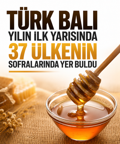 Türk balı yılın ilk yarısında 37 ülkenin sofralarında yer buldu