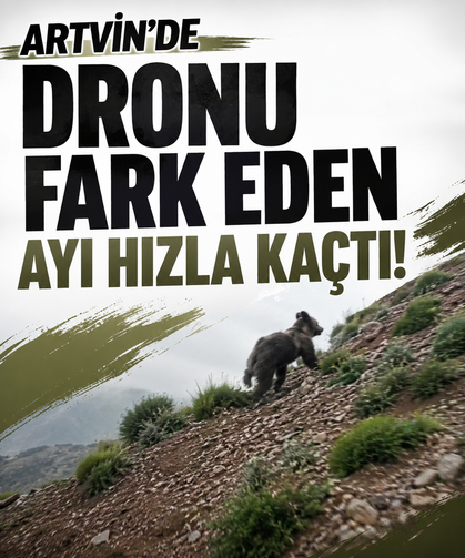Artvin’de dronu fark eden ayı hızla kaçtı