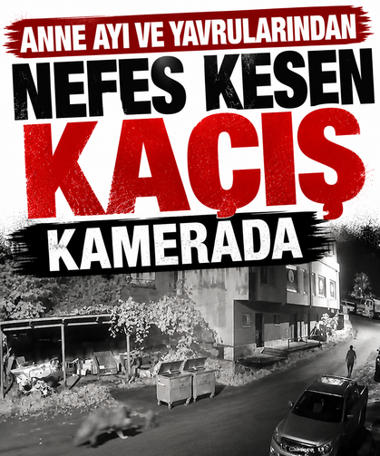 Anne ayı ve yavrularından nefes kesen kaçış kamerada