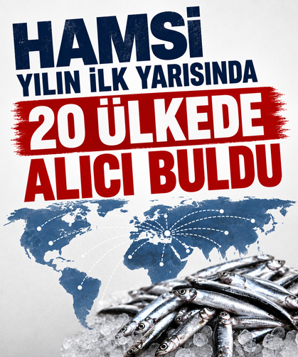 Hamsi yılın ilk yarısında 20 ülkede alıcı buldu