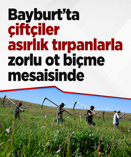 Bayburt'ta çiftçiler asırlık tırpanlarla zorlu ot biçme mesaisinde