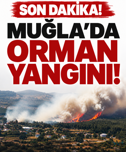 Muğla'da orman yangını! Ekipler havadan ve karadan müdahale ediyor