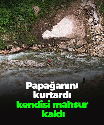 Papağanını kurtardı, kendisi mahsur kaldı