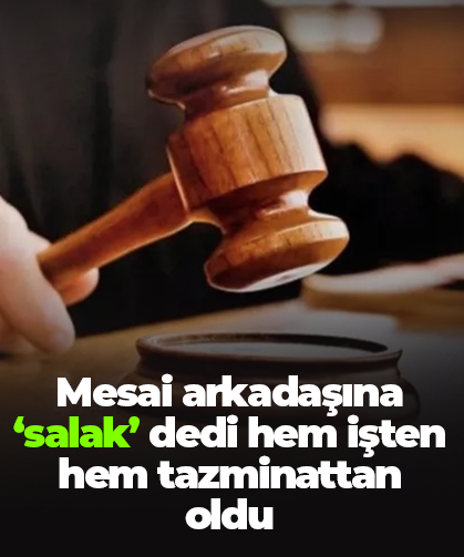 Mesai arkadaşına ‘salak’ dedi hem işten hem tazminattan oldu