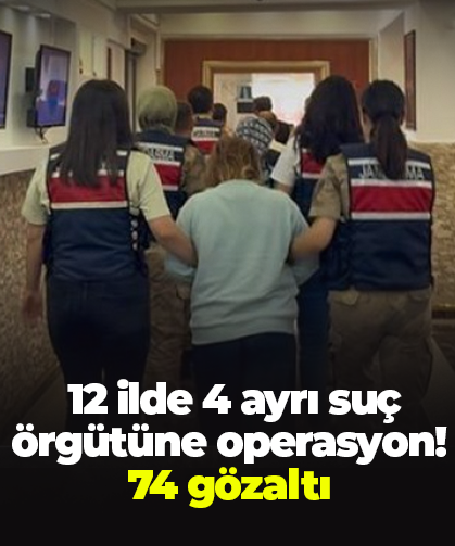 12 ilde 4 ayrı suç örgütüne operasyon! 74 gözaltı