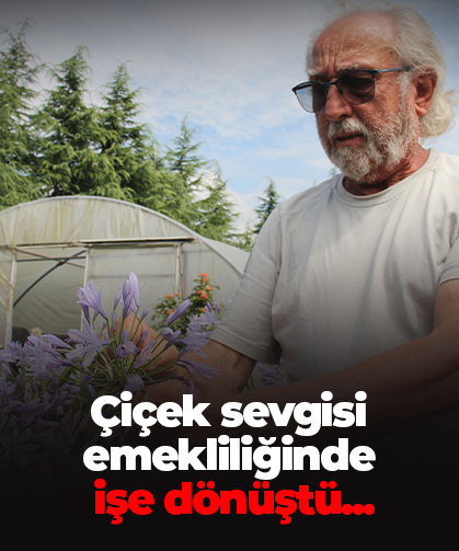 Çiçek sevgisi emekliliğinde işe dönüştü
