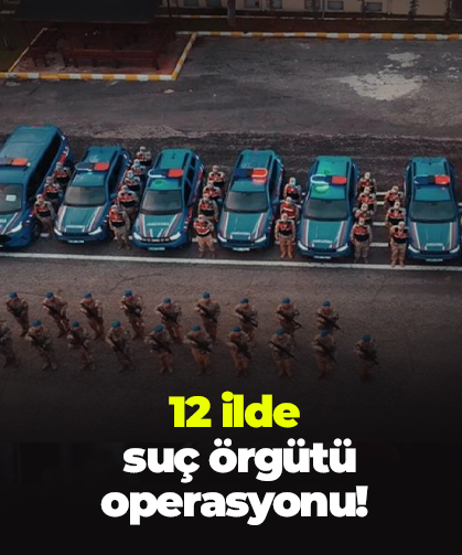 12 ilde  suç örgütü operasyonu!