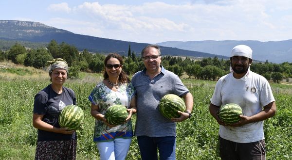 Safranbolu Kaymakamı Türköz'den çiftçilere ziyaret