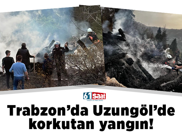 Trabzon Uzungöl'de korkutan yangın!