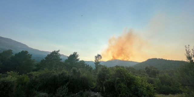 BURDUR - Orman yangınına müdahale ediliyor (2)