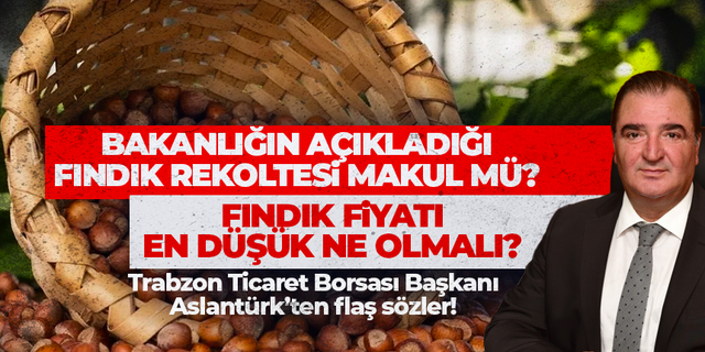 Trabzon Ticaret Sanayi Odası fındık fiyat tahminini açıkladı!