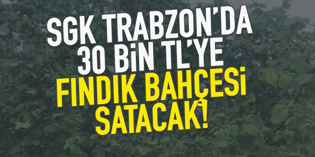 SGK, Trabzon'da 30 bin TL'ye fındık bahçesi satacak!