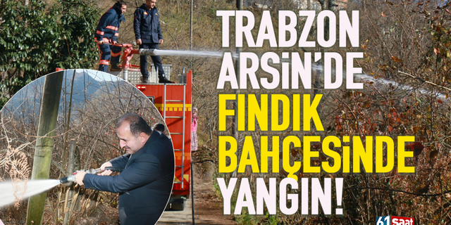 Trabzon Arsin'de fındık bahçesinde yangın...