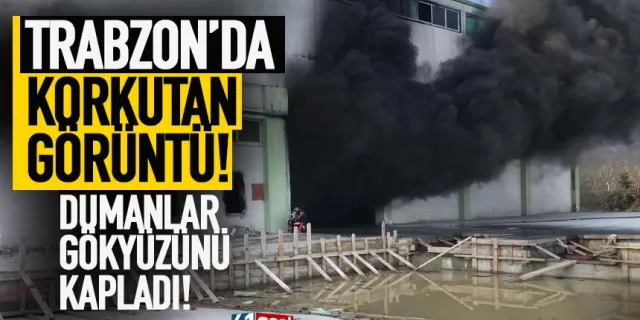 Trabzon'da korkutan yangın! Depo alanında...
