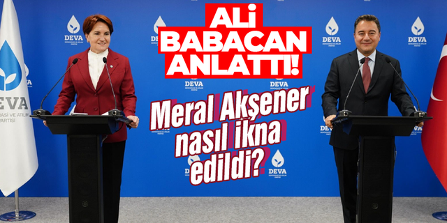 Meral Akşener nasıl ikna edildi? Ali Babacan anlattı