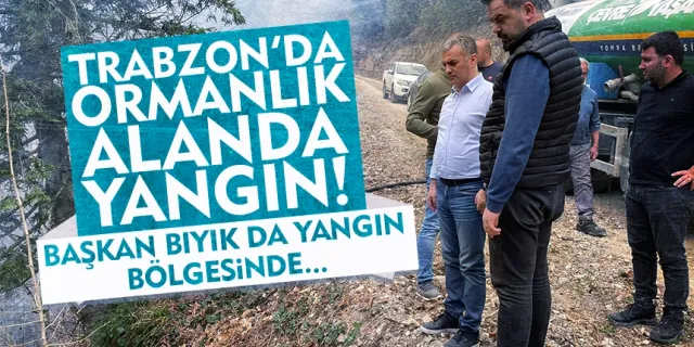 Trabzon'da ağaçlık alanda yangın!