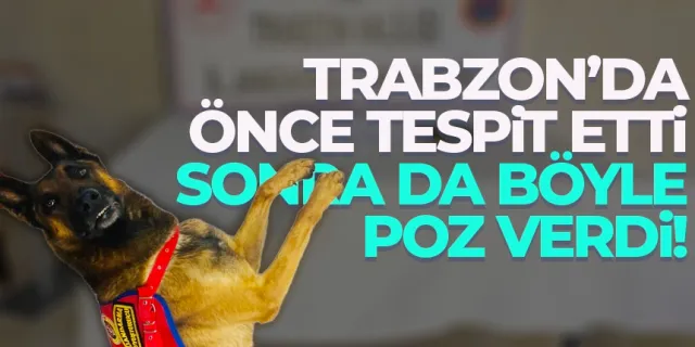 Trabzon'da evde yapılan aramada uyuşturucu madde bulundu!