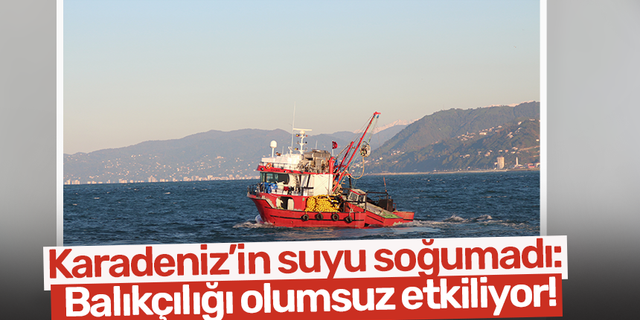 Karadeniz’in suyu soğumadı: Balıkçılığı olumsuz etkiliyor!