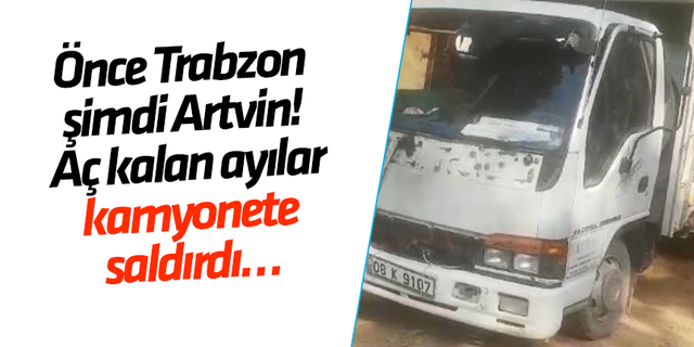 Önce Trabzon şimdi Artvin! Aç kalan ayılar kamyonete saldırdı…