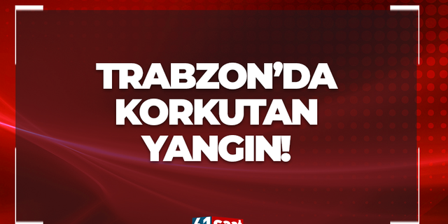 Trabzon'da korkutan yangın! İşte o görüntüler...