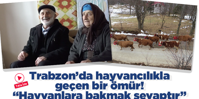 Trabzon’da hayvancılıkla geçen bir ömür!