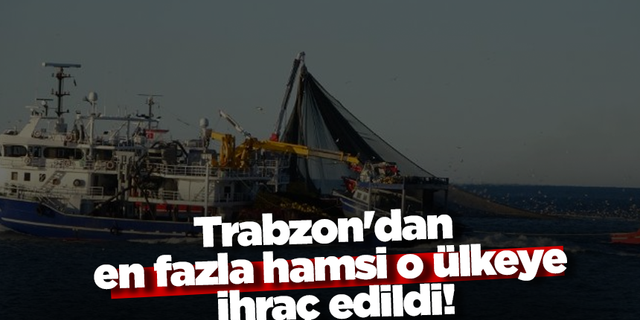 Trabzon'dan en fazla hamsi o ülkeye ihraç edildi!