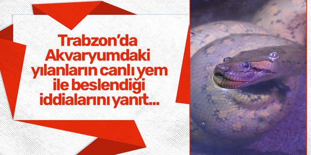 Trabzon’da Akvaryumdaki yılanların canlı yem ile beslendiği iddialarını yanıt...