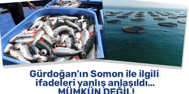 Gürdoğan’ın Somon ile ilgili ifadeleri yanlış anlaşıldı…  Mümkün değil!